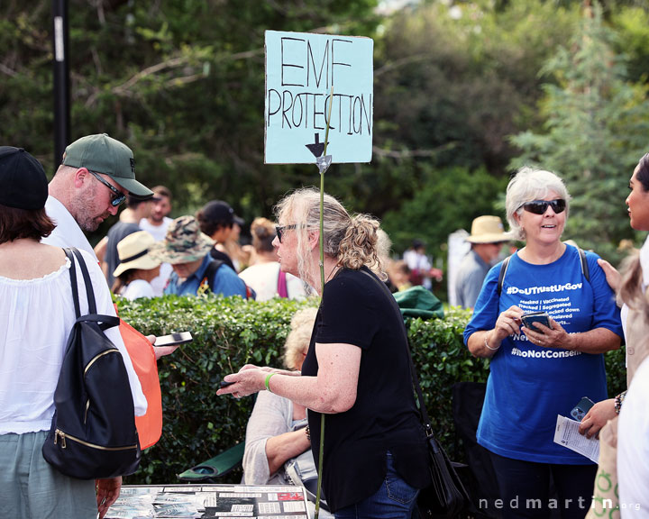 Freedom Rally, Brisbane