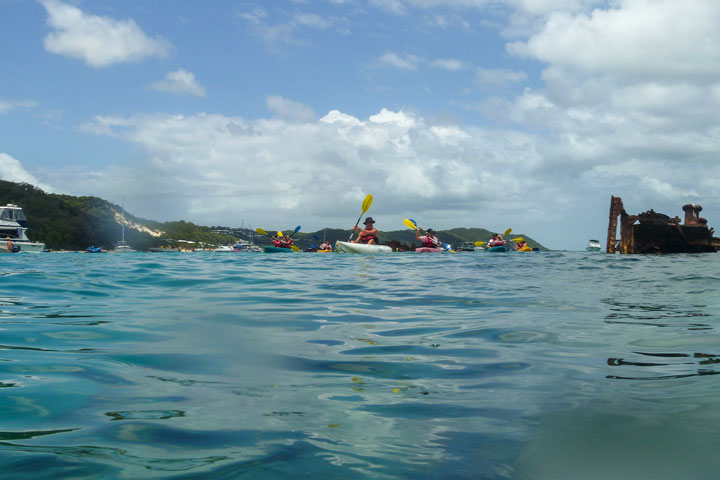 Snorkelling at Tangalooma Wrecks on Moreton Island