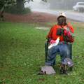 Scarecrows at Tamborine Mountain