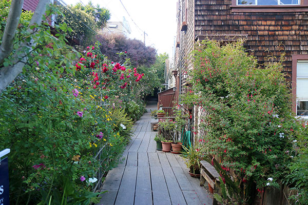 The walk down from Coit Tower