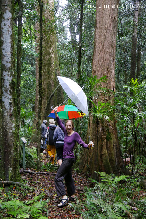 Bronwen, Tooloom National Park, NSW