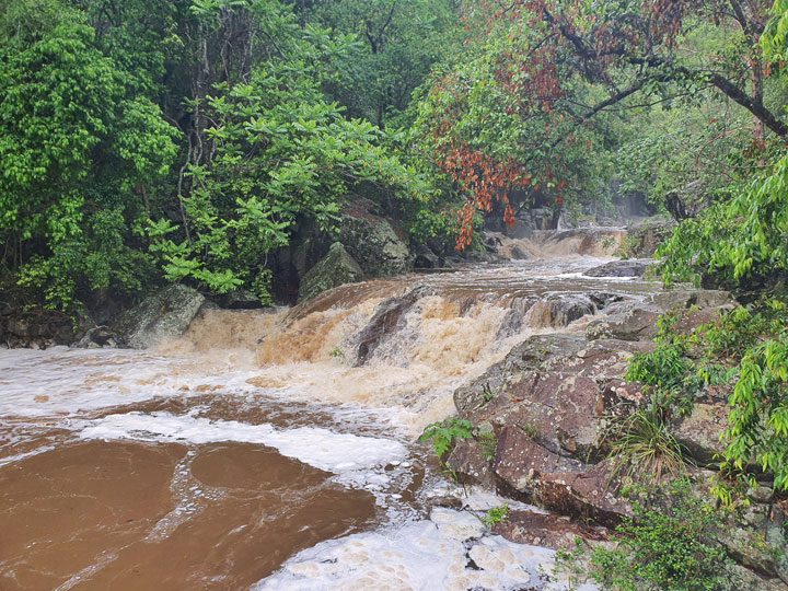 Cedar Creek in flood