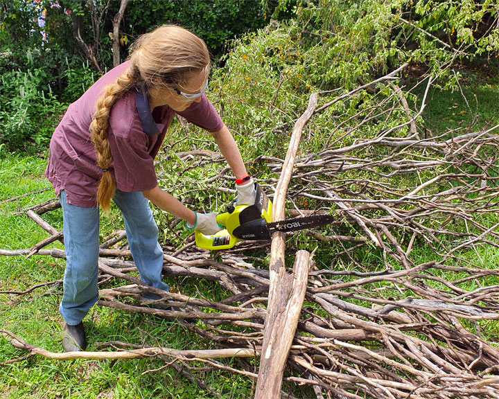 Bronwen with the world’s smallest chainsaw