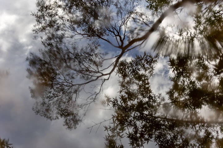 Enoggera Reservoir