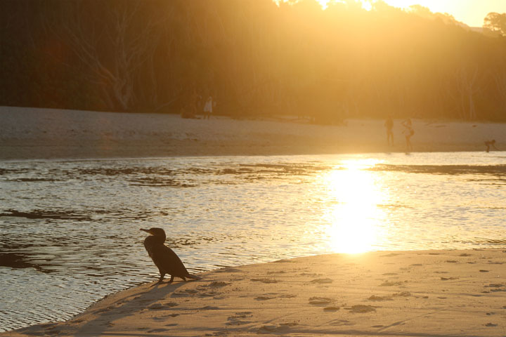 The Beach, Island Vibe Festival 2018, Stradbroke Island