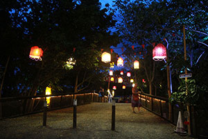 Festival lights