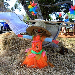 Tamborine Mountain Scarecrow Festival