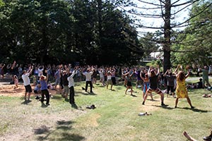 The Amazing Woodford Folk Festival