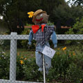 Scarecrows at Tamborine Mountain Scarecrow Festival