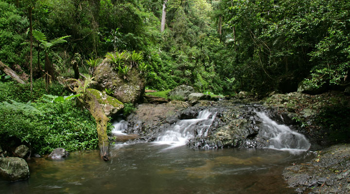 Coomera Gorge