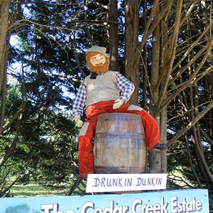 Tamborine Mountain Scarecrow Festival