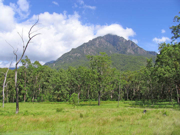 Bushwalk up Mt Barney  via South (Peasant's) Ridge