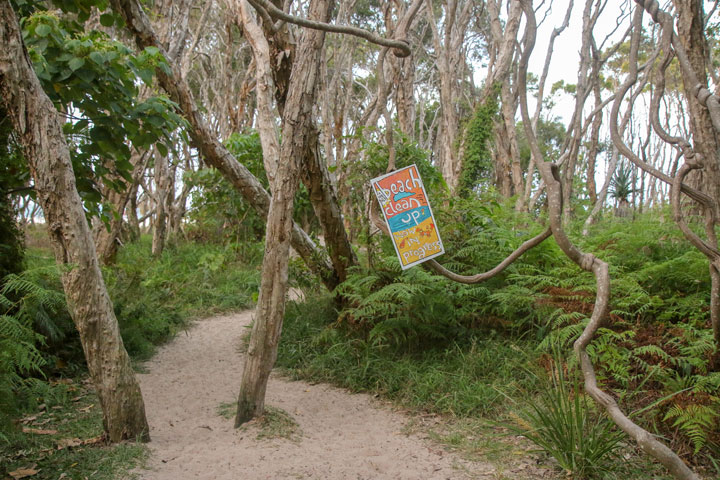 Island Vibe Festival 2019, Stradbroke Island