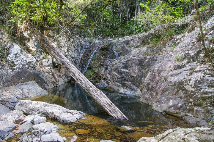 Cougal Cascades, Currumbin