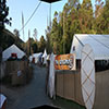 The gate to The Dreaming, Woodford Folk Festival