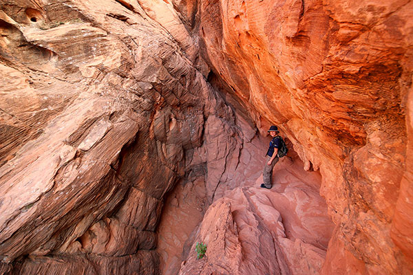 Bronwen exploring the Valley of Fire