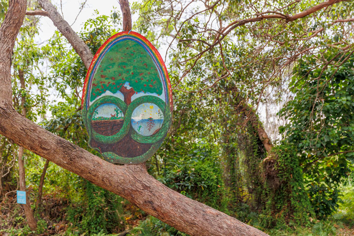 Micro Island Vibe Festival, Stradbroke Island