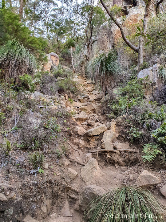 Another very steep area climbing Mt Maroon