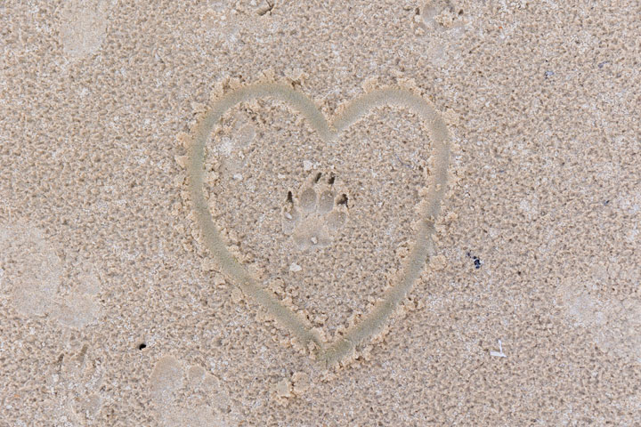 Home Beach, Stradbroke Island