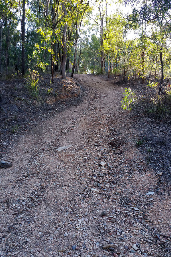 Walking up Mount Gravatt