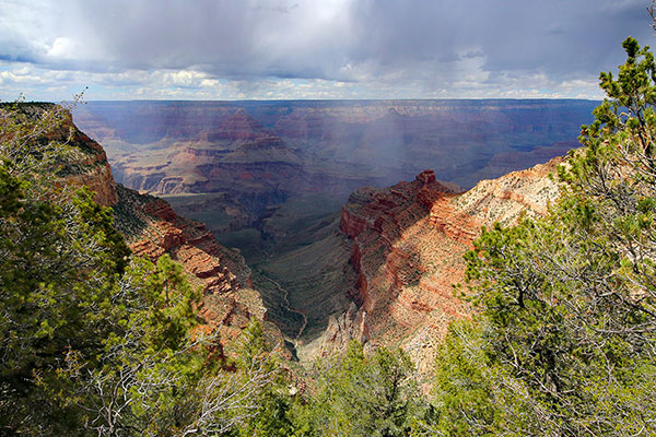 Looking into the Grand Canyon