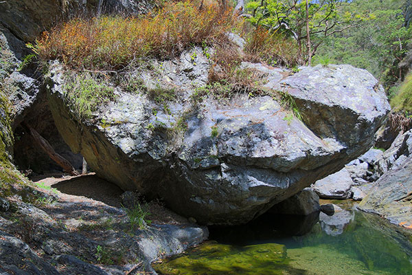 Behind a large rock