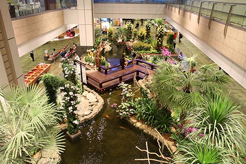 Changi Airport’s Orchid Garden & Koi Pond