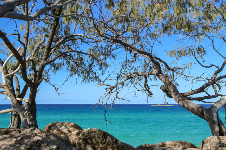 Island Vibe Festival 2019, Stradbroke Island