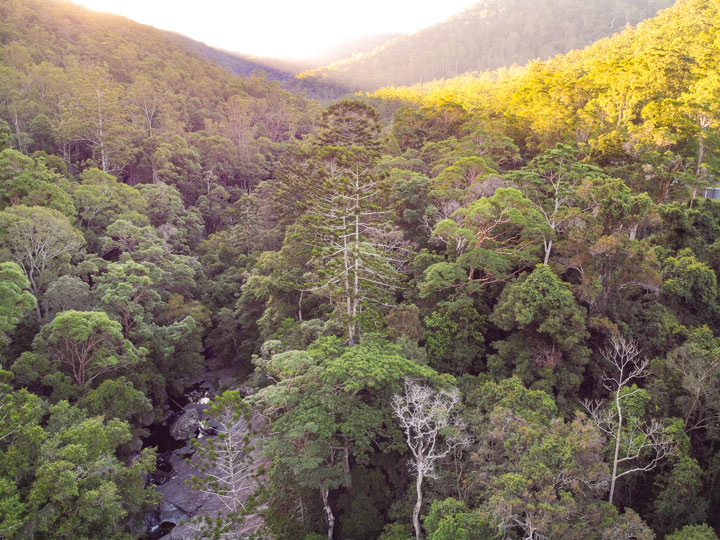 Cedar Creek, Brisbane