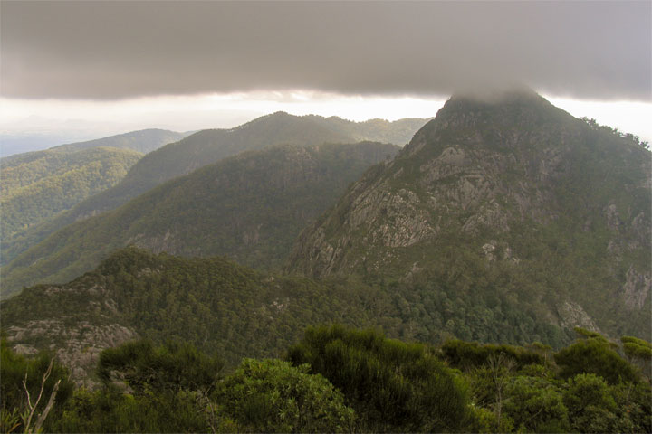 Bushwalk up Mt Barney  via South (Peasant's) Ridge