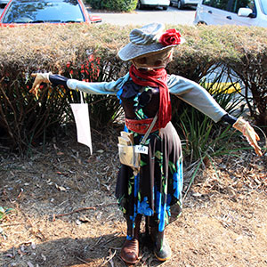 Mount Tamborine Scarecrows