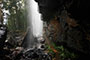 Bronwen walking under a waterfall on the Twin Falls Circuit, Springbrook