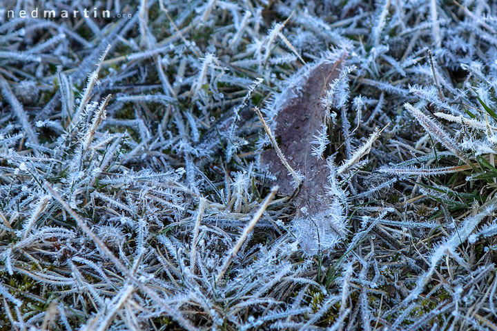 Frost, Tooma Reservoir, Snowy Mountains