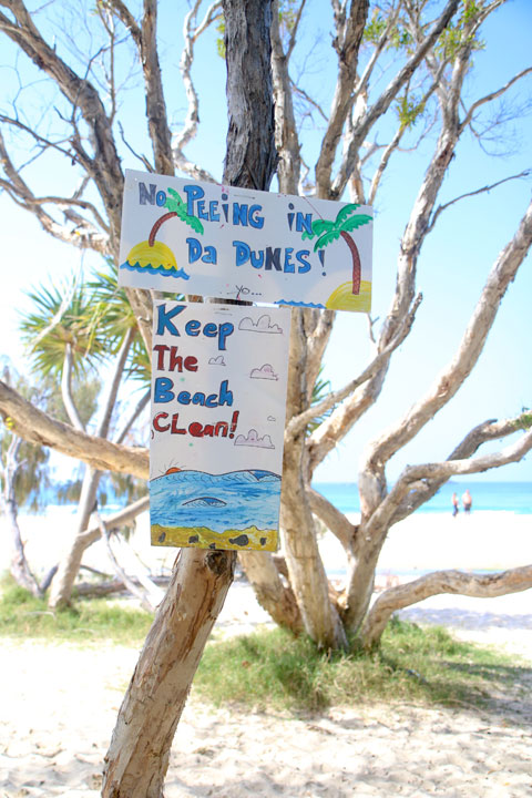 The Beach, Island Vibe Festival 2018, Stradbroke Island