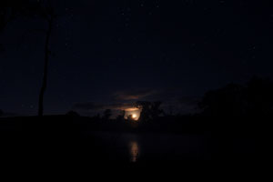 The moon rising in Pittsworth