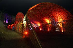 The Amazing Woodford Folk Festival