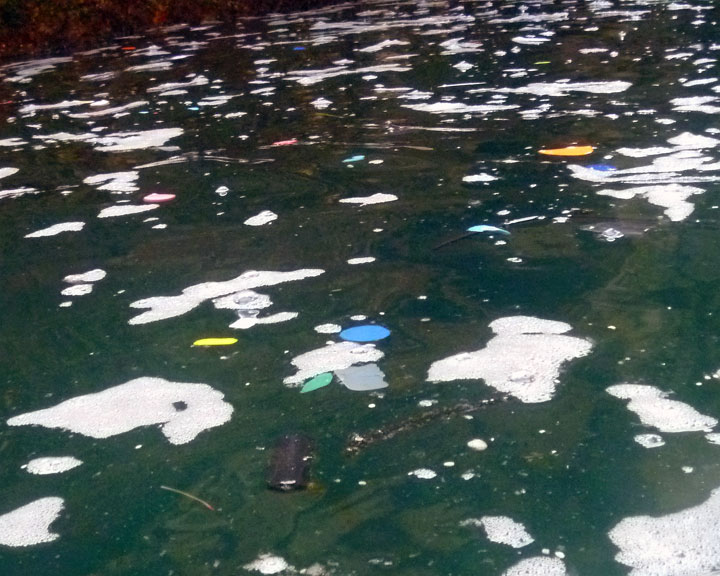 Plastic waste floating around Stradbroke Island