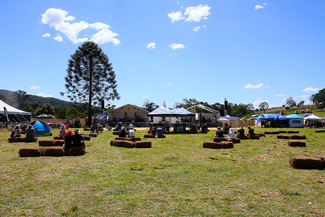 The festival before it got busy