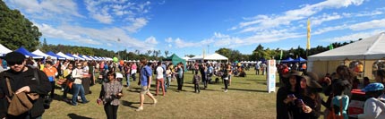 Crowds at World Refugee Day