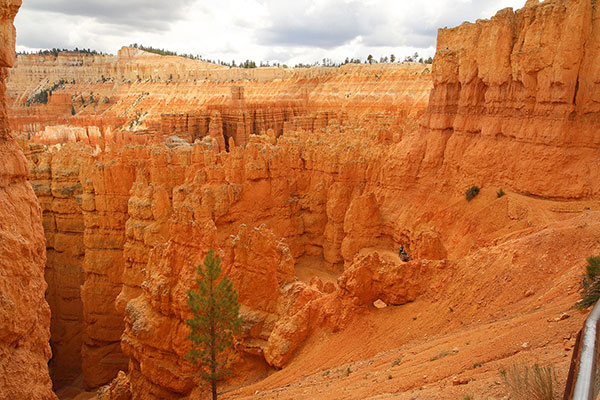 A valley full of hoodoos at Bryce Canyon National Park