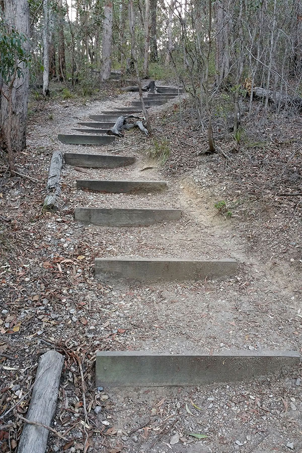 Walking up Mount Gravatt