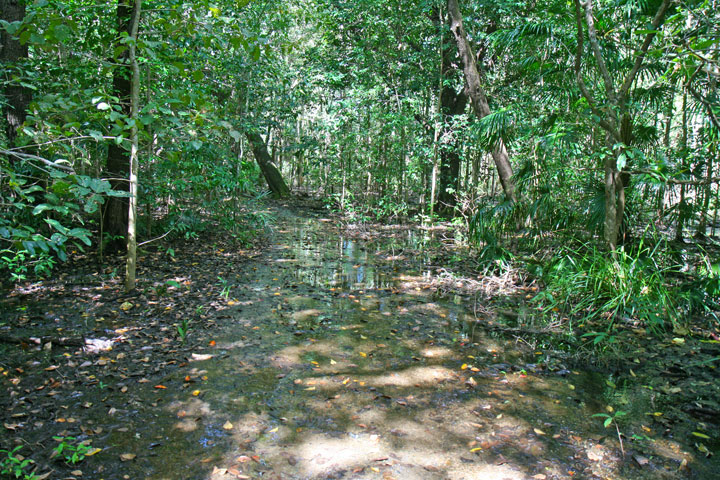 Fogg Dam Conservation Reserve, Northern Territory