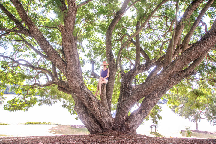 Bronwen climbing a tree, Walking along the river in West End, Brisbane