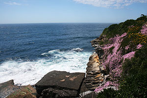 Sculpture by the Sea