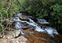 A Springbrook creek after rainfall