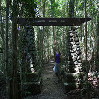 Bronwen at the entrance to Lamington National Park