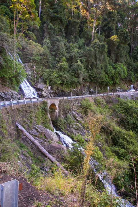 Waterfall Way, Dorrigo