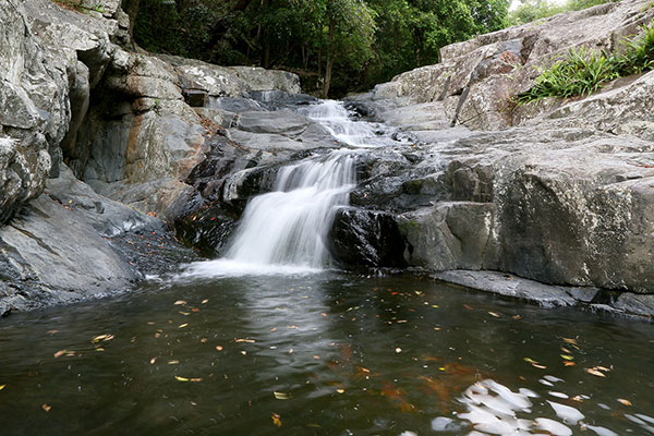 Cedar Creek demonstrating the effects of gravity