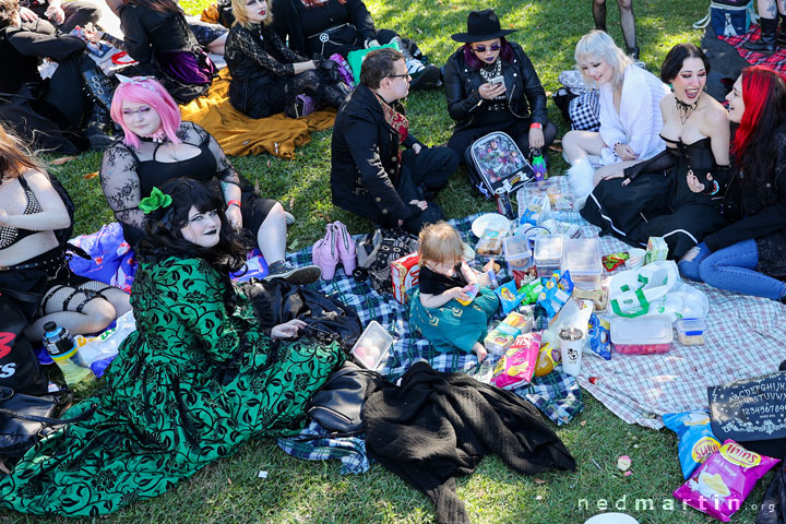 The Brisbane Gothic and Alternative Picnic 2021, Roma St Parklands, Brisbane