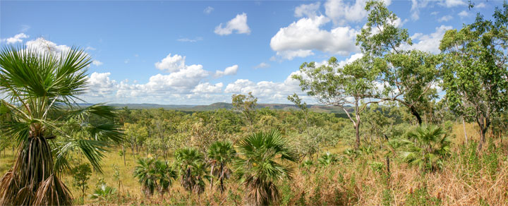 Northern Territory